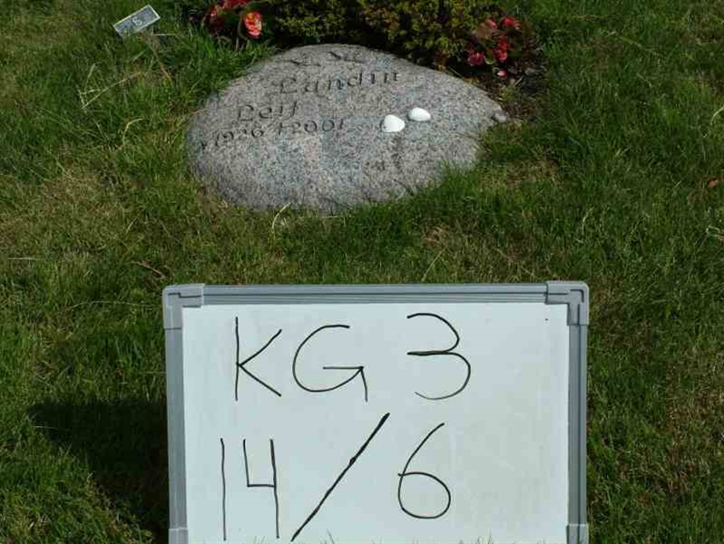 Hautatunnus: 3 14     6