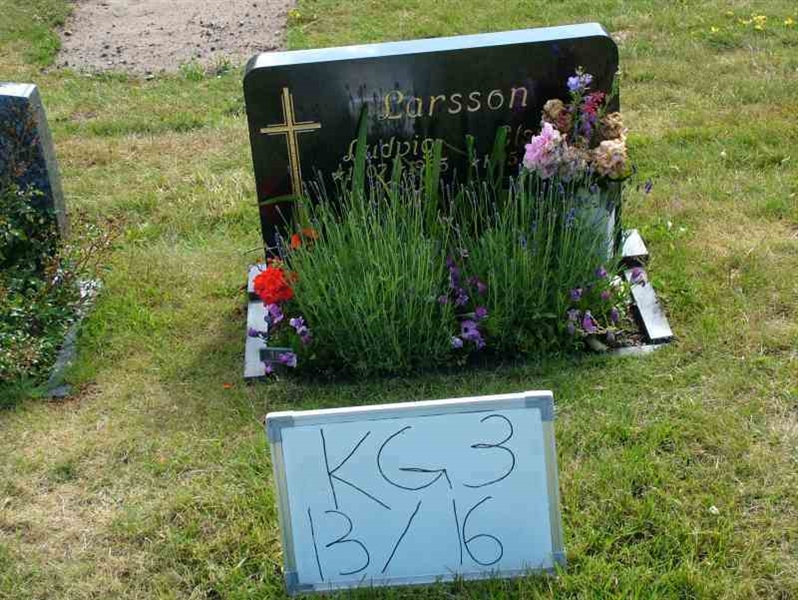 Hautatunnus: 3 13    16