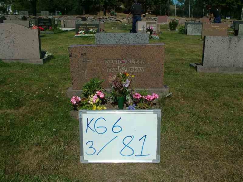 Gravnummer: 6 03    81-2