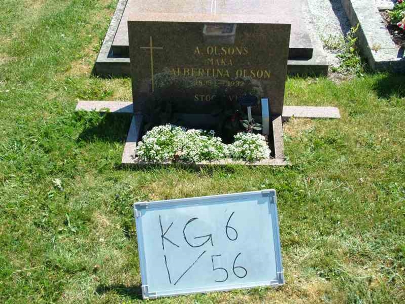 Hautatunnus: 6 01    56-1