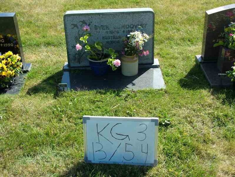 Hautatunnus: 3 13    54