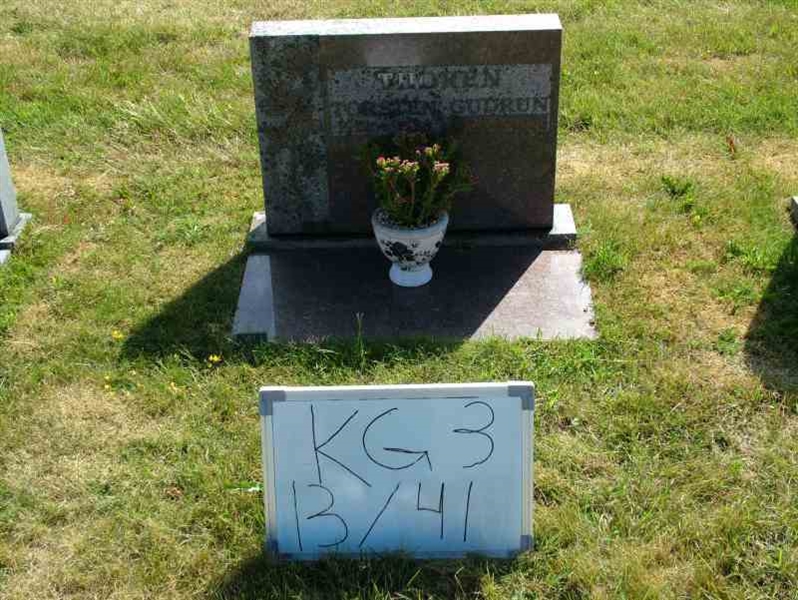 Hautatunnus: 3 13    41