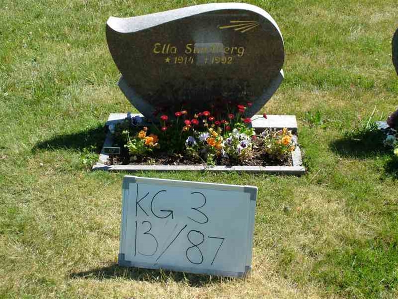 Hautatunnus: 3 13    87