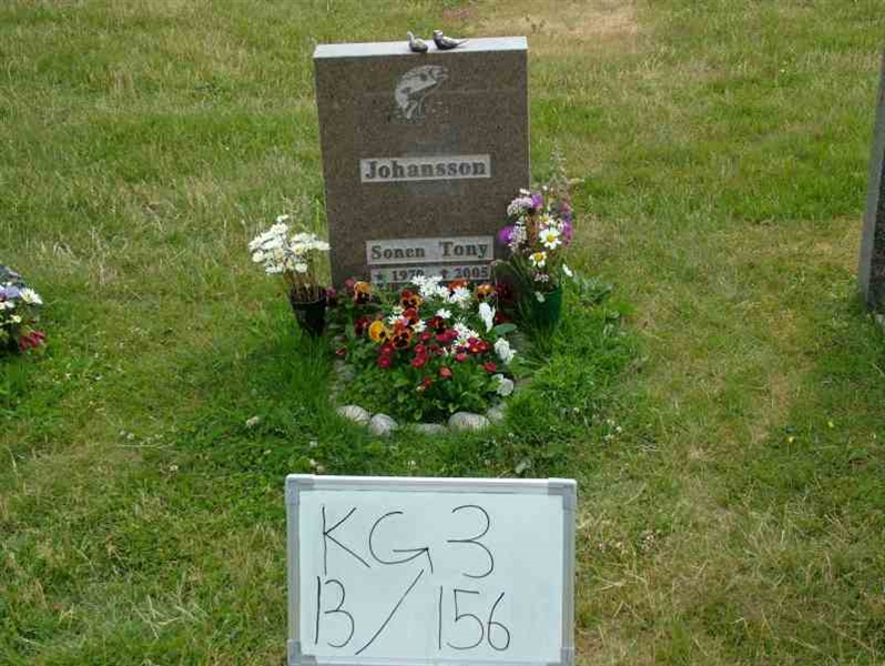 Hautatunnus: 3 13   156