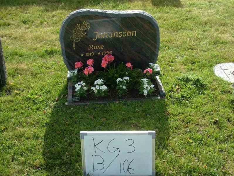 Hautatunnus: 3 13   106