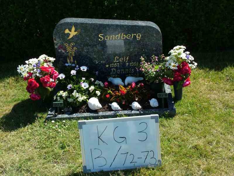 Hautatunnus: 3 13    72-73