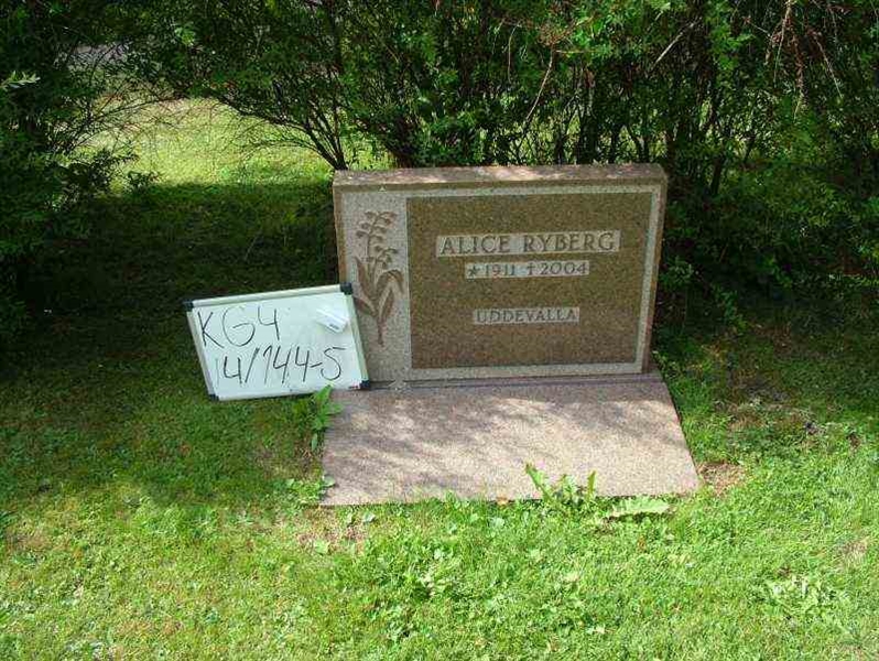 Hautatunnus: 4 14-G   144