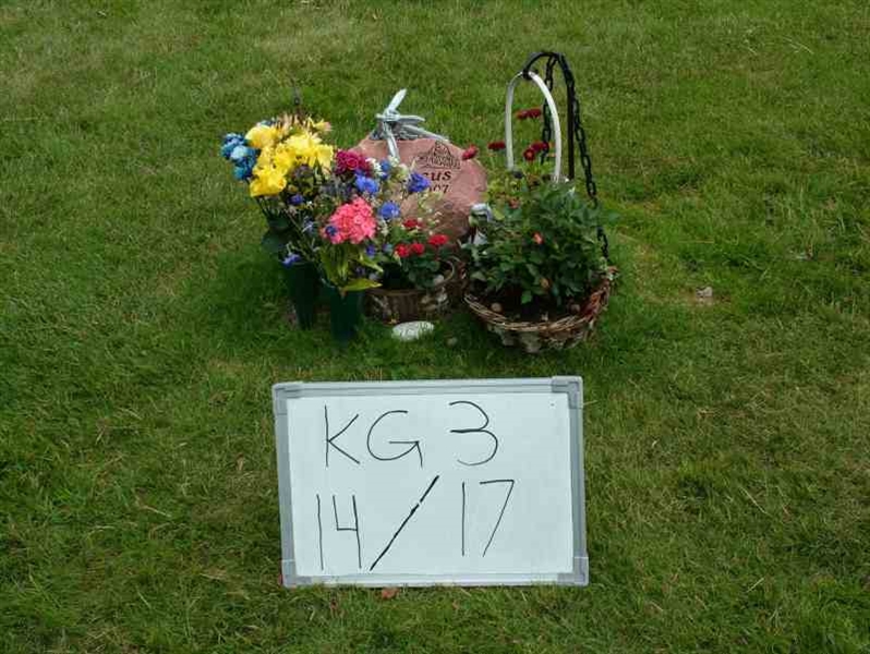 Hautatunnus: 3 14    17