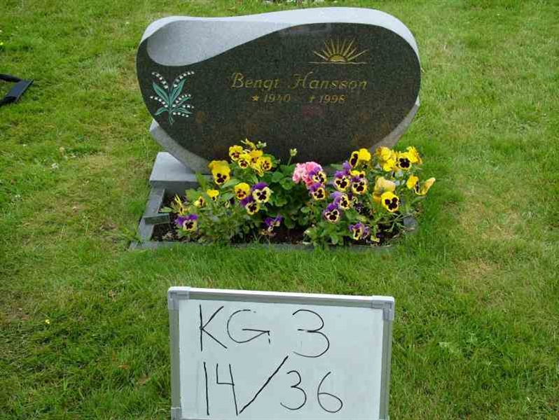 Hautatunnus: 3 14    36