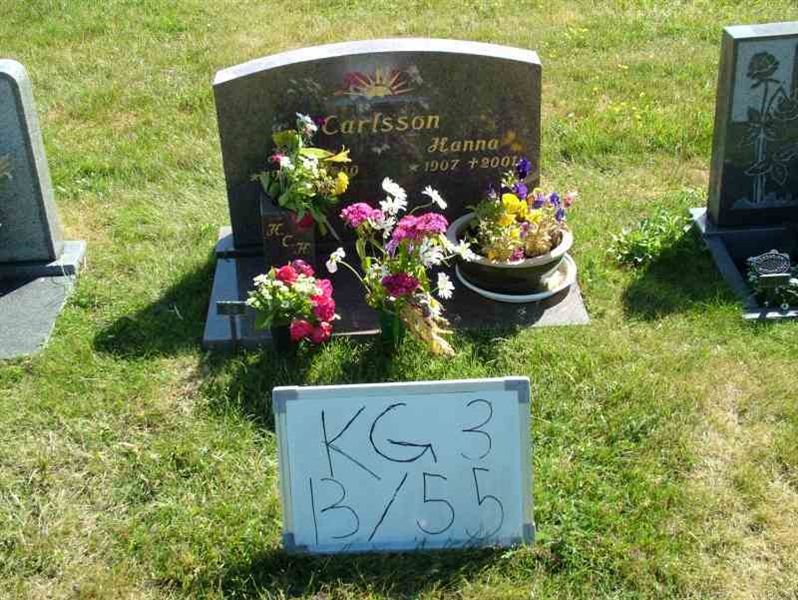 Hautatunnus: 3 13    55