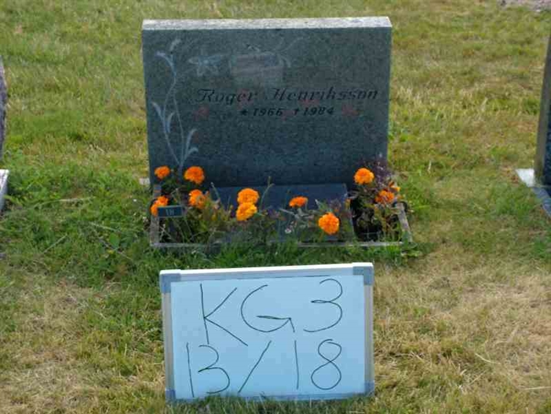 Hautatunnus: 3 13    18