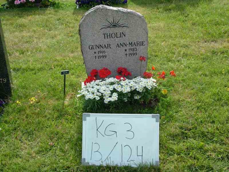 Hautatunnus: 3 13   124