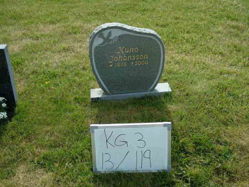 Hautatunnus: 3 13   119