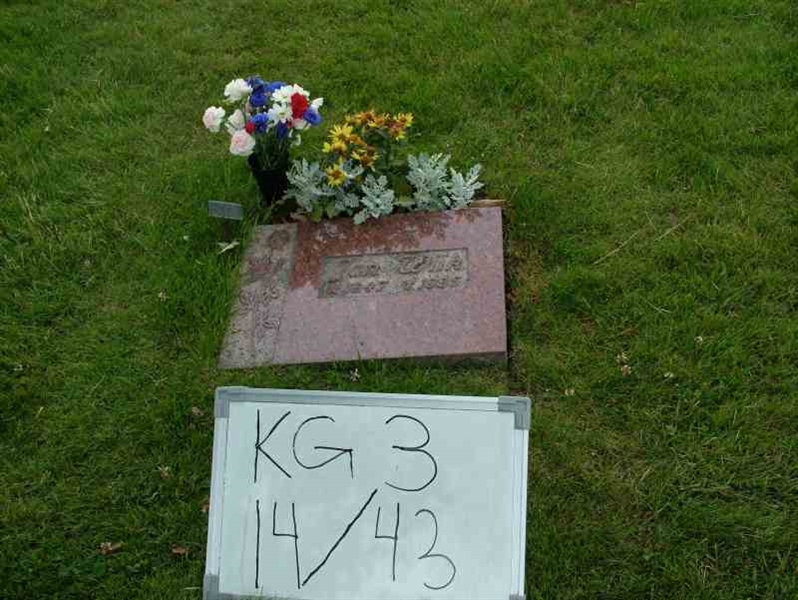 Hautatunnus: 3 14    43