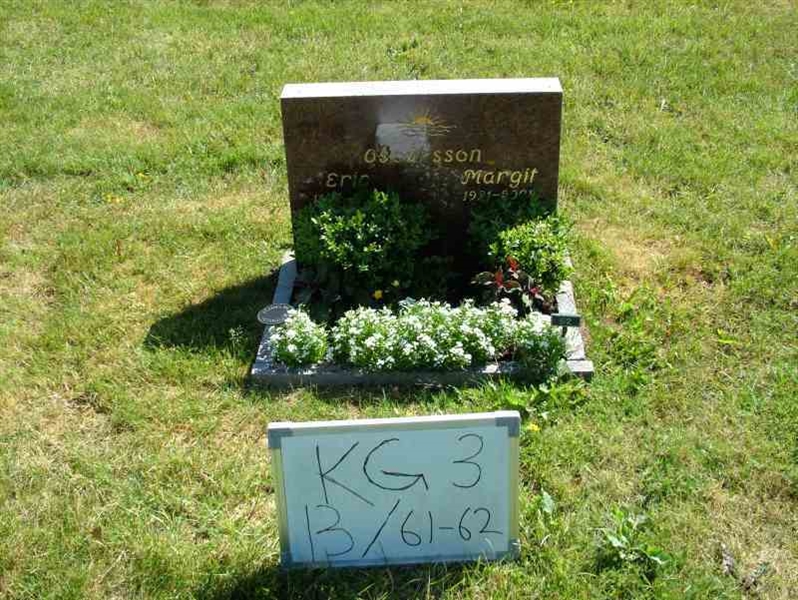 Hautatunnus: 3 13    61-62