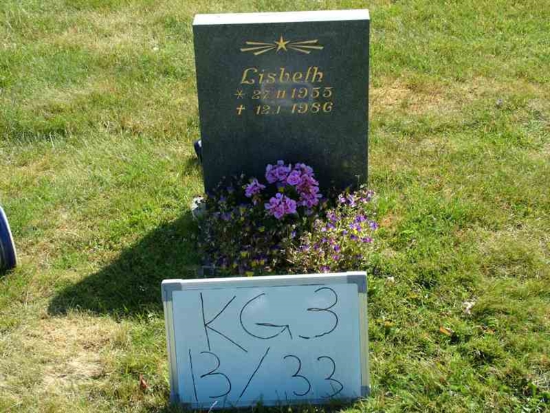 Hautatunnus: 3 13    33