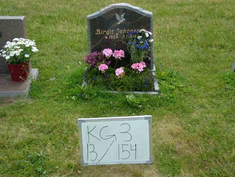 Hautatunnus: 3 13   154