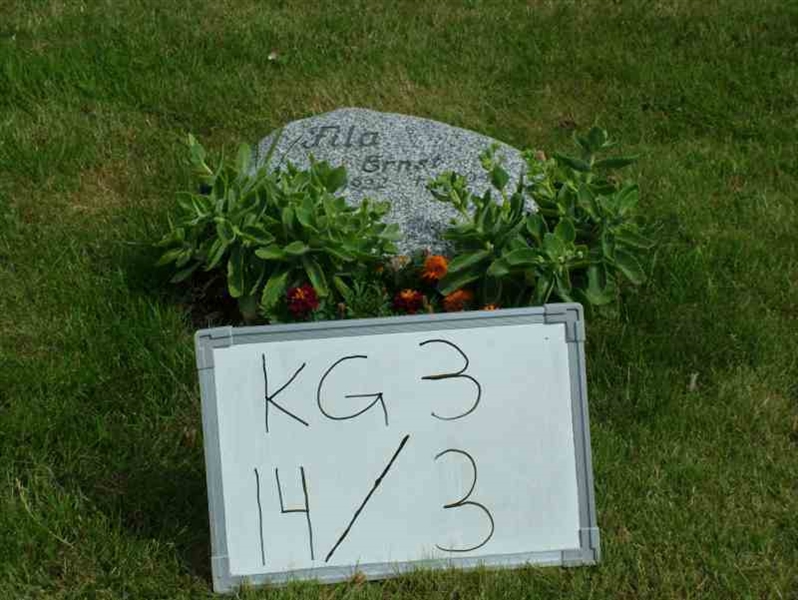 Hautatunnus: 3 14     3