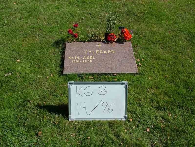 Hautatunnus: 3 14    96