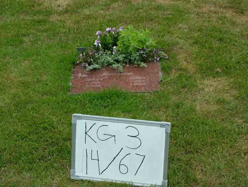 Hautatunnus: 3 14    67