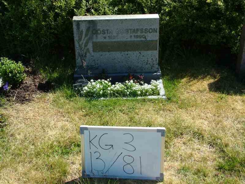 Hautatunnus: 3 13    81