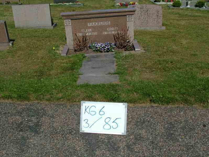 Hautatunnus: 6 03    85-2