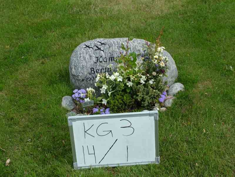 Hautatunnus: 3 14     1