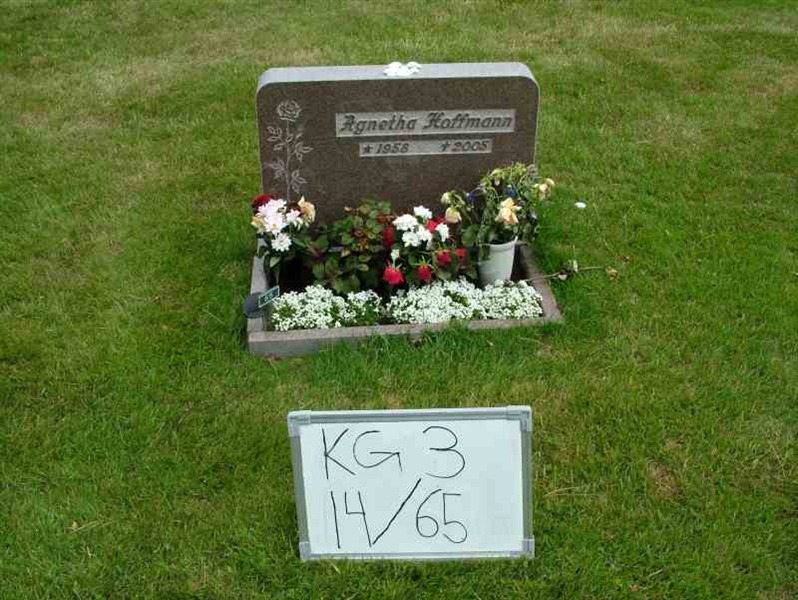 Hautatunnus: 3 14    65