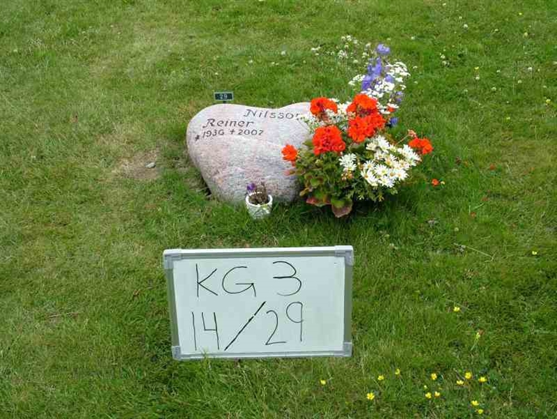 Hautatunnus: 3 14    29