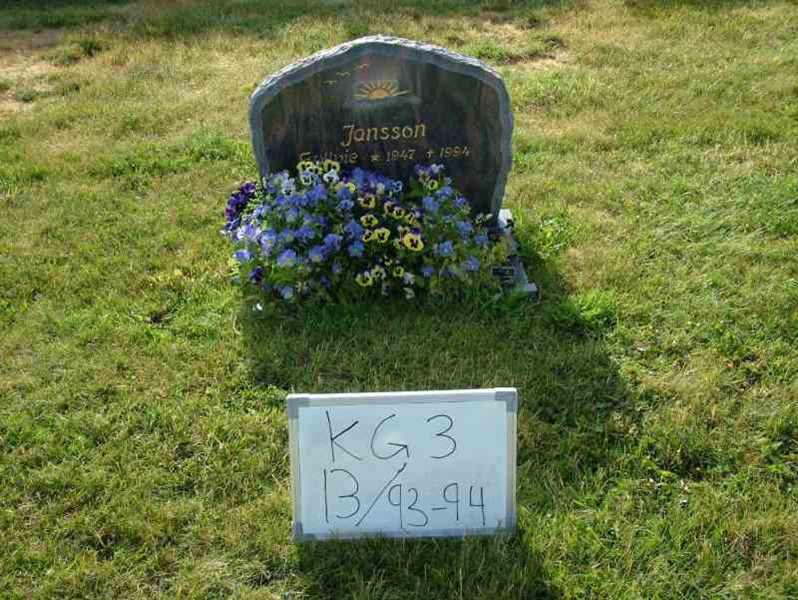 Hautatunnus: 3 13    93-94