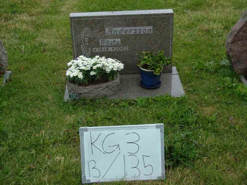 Grave number: 3 13   135