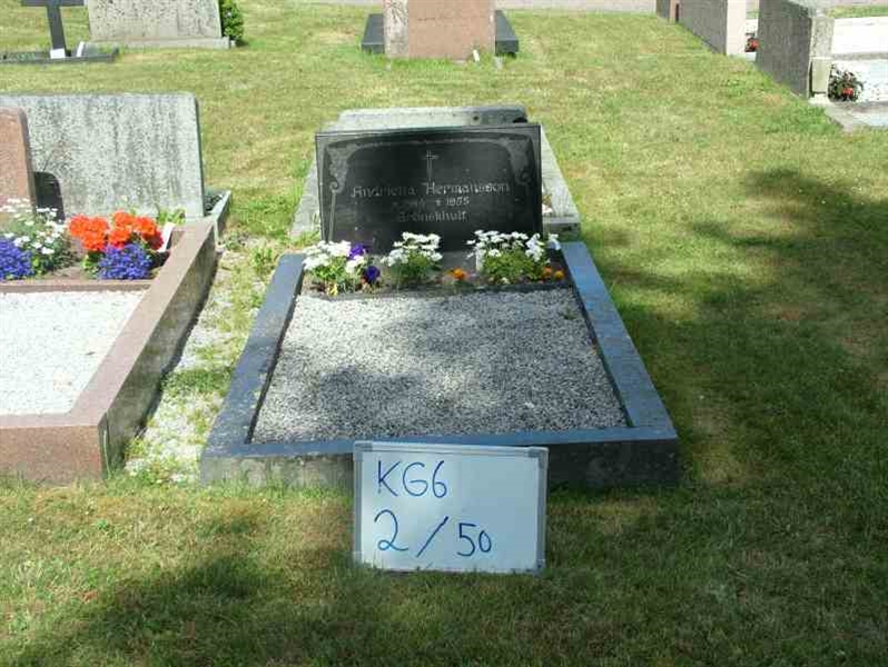 Hautatunnus: 6 02    50-1