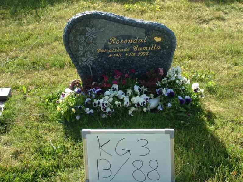 Hautatunnus: 3 13    88