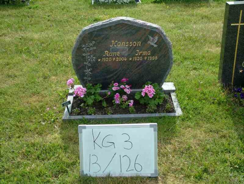 Hautatunnus: 3 13   126