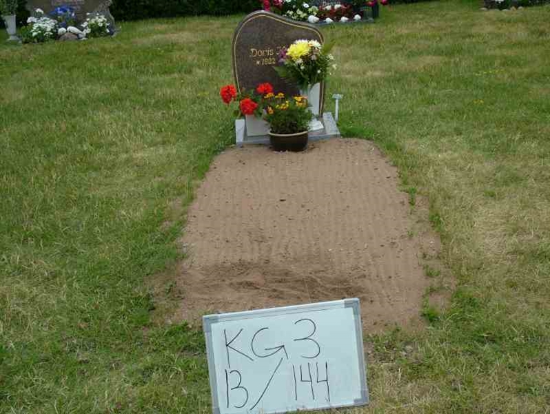 Hautatunnus: 3 13   144