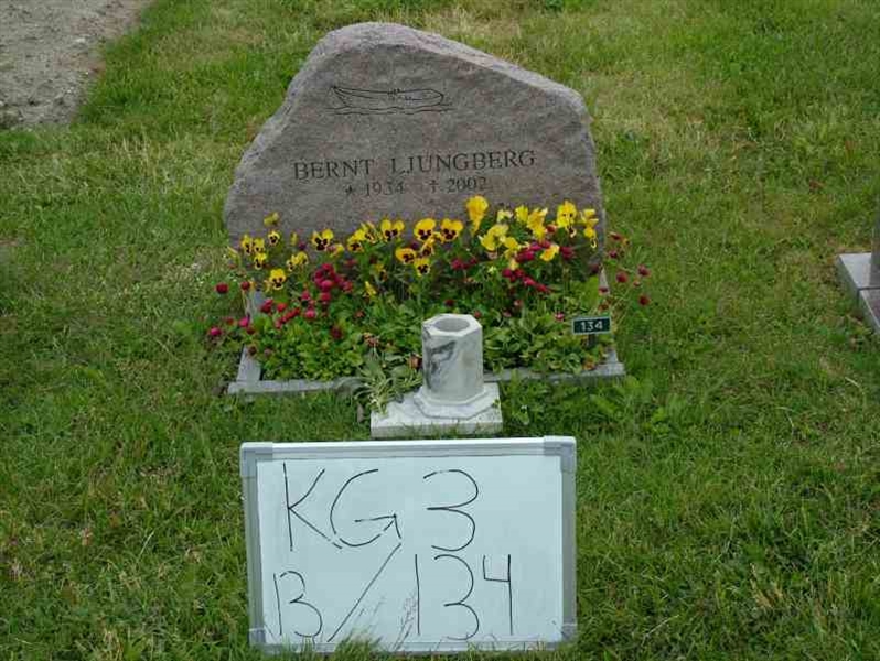 Hautatunnus: 3 13   134