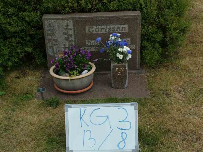 Grave number: 3 13     8