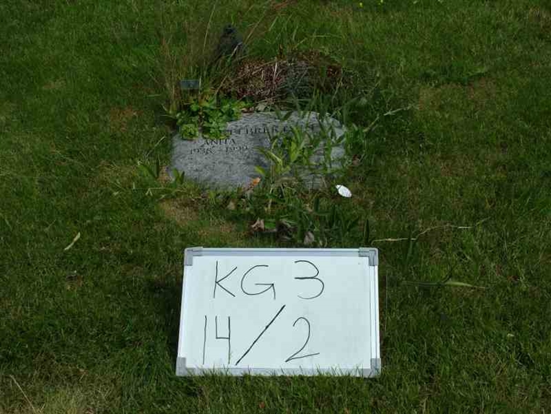 Hautatunnus: 3 14     2