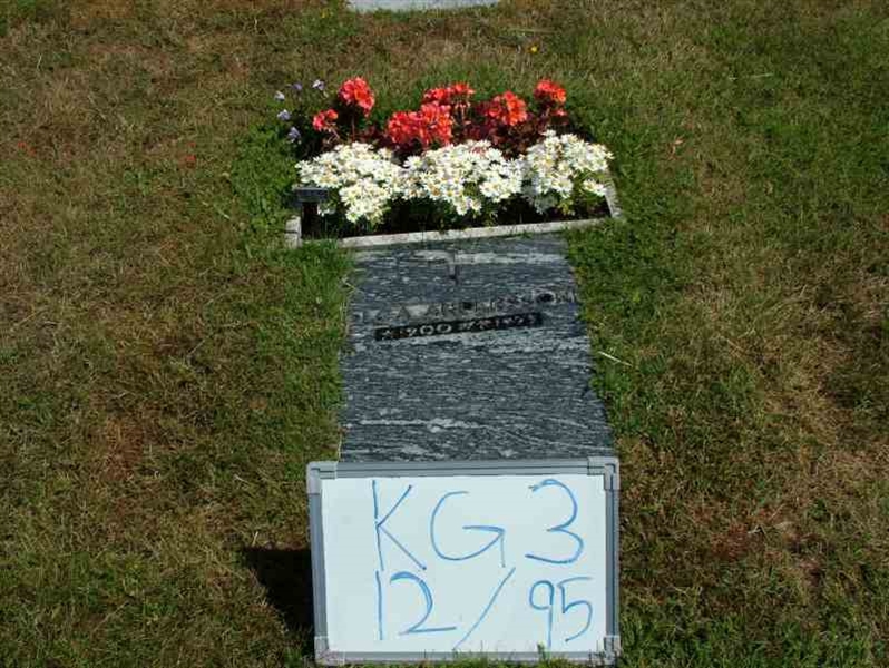 Gravnummer: 3 12    95