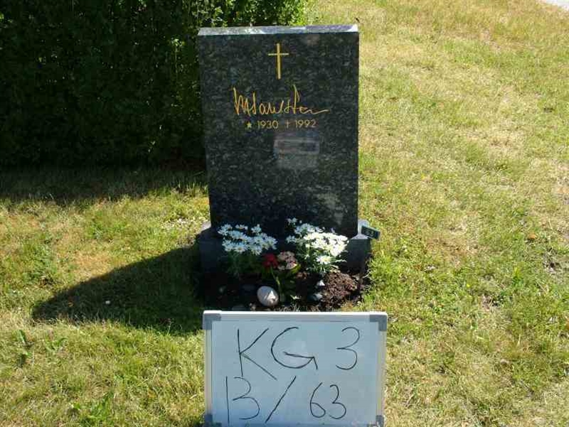 Hautatunnus: 3 13    63