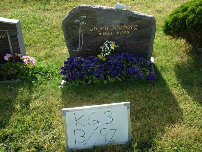 Hautatunnus: 3 13    97