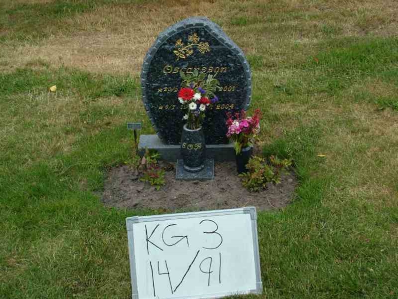 Hautatunnus: 3 14    91