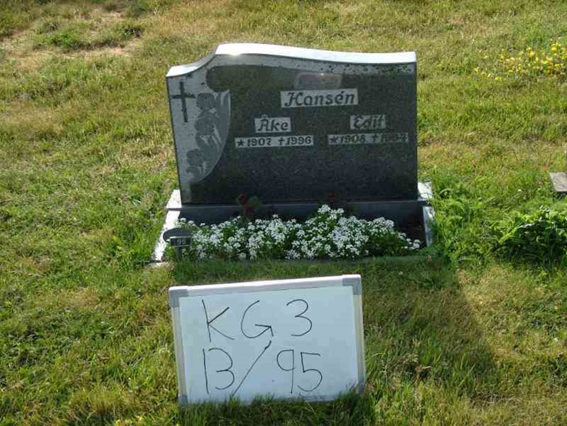 Hautatunnus: 3 13    95