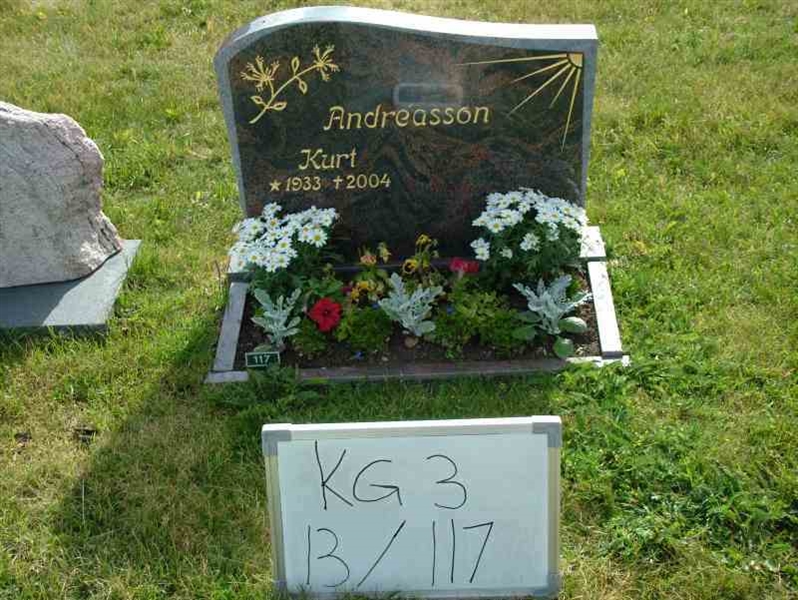 Grave number: 3 13   117