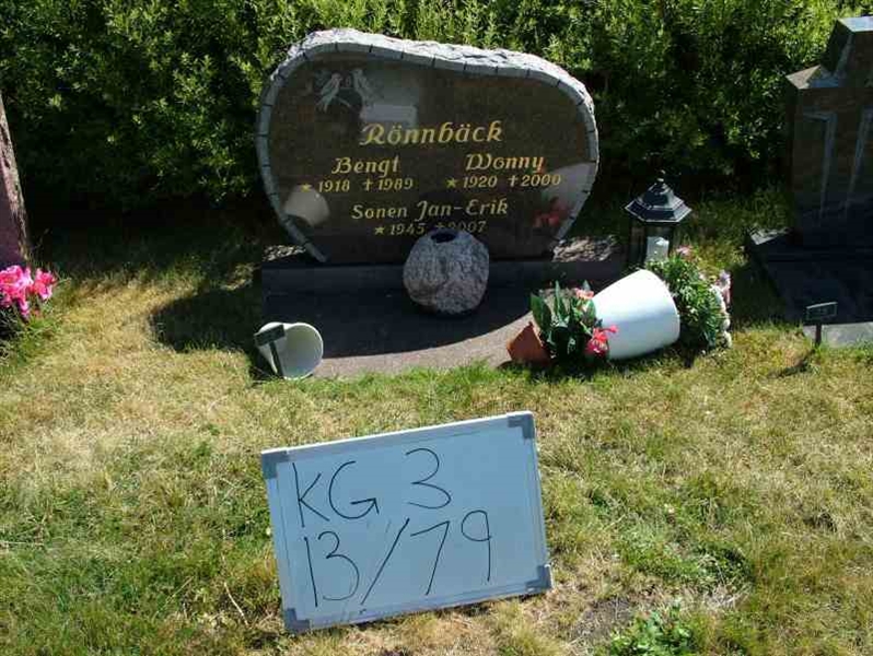 Hautatunnus: 3 13    79