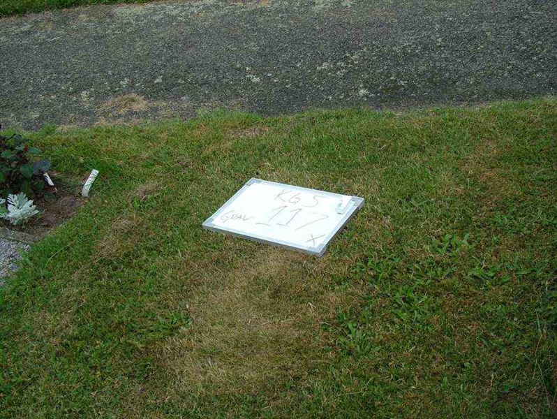 Gravnummer: 5   117-1