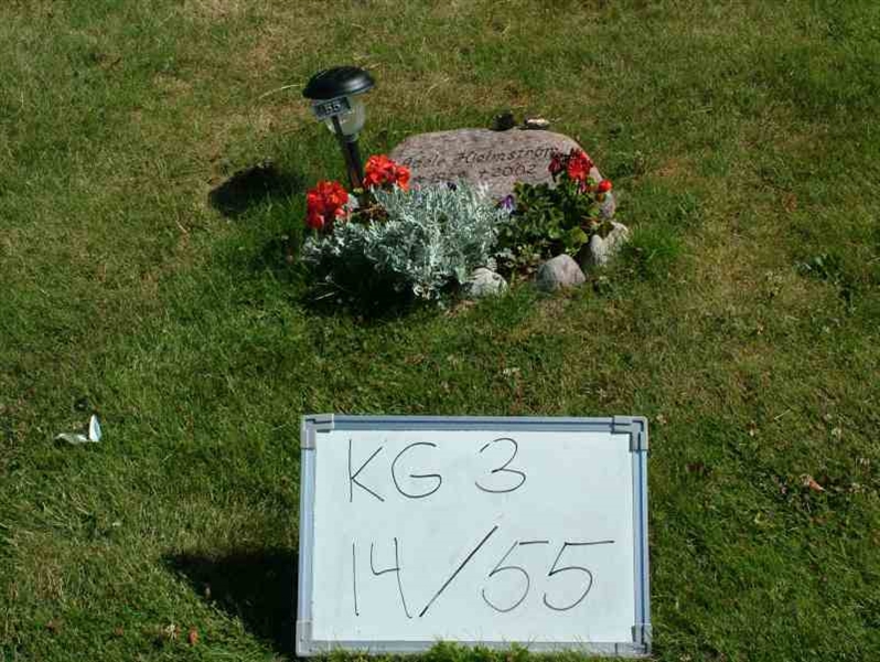 Hautatunnus: 3 14    55