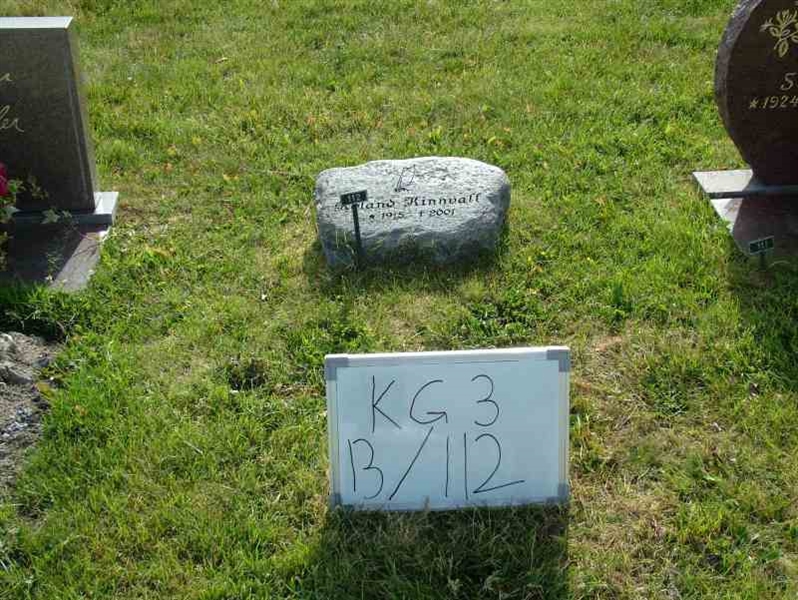 Hautatunnus: 3 13   112