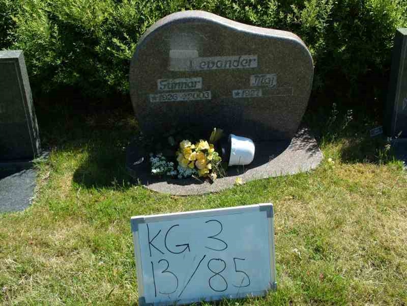 Hautatunnus: 3 13    85