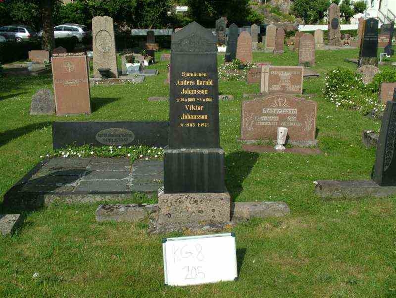 Gravnummer: 8   205-2